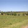 Riverstone Farmland & Eastern Creek
