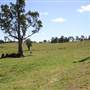 Riverstone Farmland & Eastern Creek