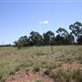 Riverstone Farmland & Eastern Creek