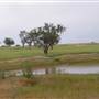 Paddys Creek Rd, Dubbo
