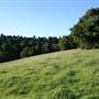 Rolling Hills - Southern Highlands