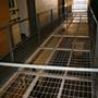 Parramatta Correctional Centre