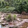 Royal National Park