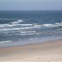Port Macquarie Area