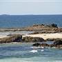 Sawtell