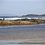 Sawtell