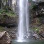 Terania Creek picnic area & Protesters Falls walking track