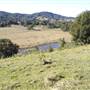 Tweed - McKenzie Property