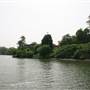 Tweed River - Murwillumbah