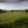 Tweed Valley 1 of 2
