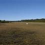 Tyagarah Airfield, Byron Bay