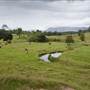 Tweed Valley 1 of 2