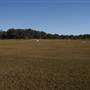 Tyagarah Airfield, Byron Bay