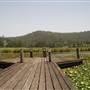 Clarrie Hall Dam