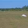 Tyagarah Airfield, Byron Bay