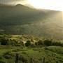 Tweed Valley 1 of 2