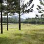 Tweed Valley 1 of 2