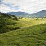 Tweed Valley 1 of 2