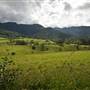 Tweed Valley 1 of 2