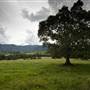 Tweed Valley 1 of 2