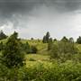 Tweed Valley 1 of 2
