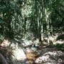 Upper Crystal Creek