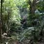 Upper Crystal Creek