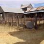 The Springs Homestead - Dubbo