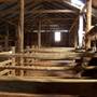 Templeton property, Naradhan