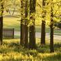 Private House - Sutton Forest