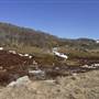 Perisher
