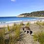Pebbly Beach