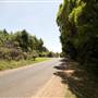 Pearsons Lane