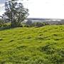 Robertson - Southern Highlands