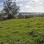 Robertson - Southern Highlands