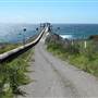 Shellharbour 1