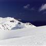 Snowy Mountains - Semi-Dry Steppes