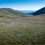 Snowy Mountains - Semi-Dry Steppes