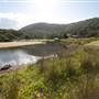 Stanwell Park - Stanwell Tops