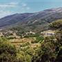 Thredbo
