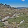 Thredbo
