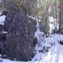 Thredbo