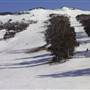 Thredbo