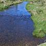 Thredbo