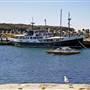 Ulladulla