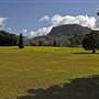 Wollongong Botanic Garden