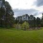 Parklands Country Garden & Lodges