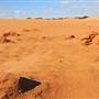 Perry Sandhills