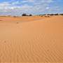 Perry Sandhills