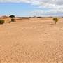Perry Sandhills